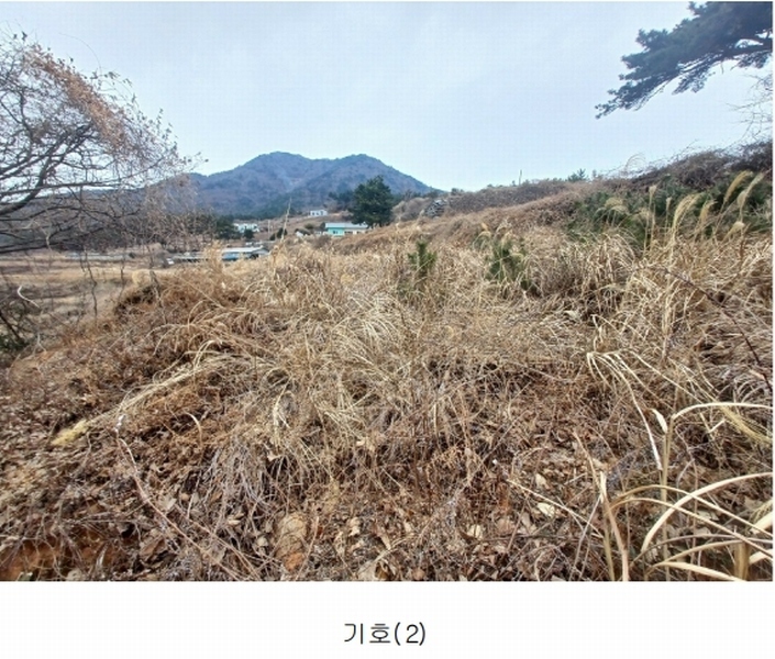 2025타경319 경상남도 남해군 이동면 용소리 1281-32 농지 경매 이미지