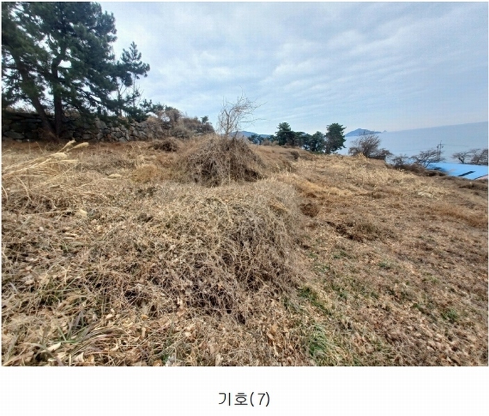 2025타경319 경상남도 남해군 이동면 용소리 1281-32 농지 경매 이미지