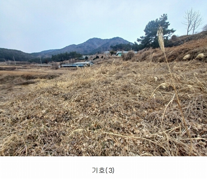 2025타경319 경상남도 남해군 이동면 용소리 1281-32 농지 경매 이미지