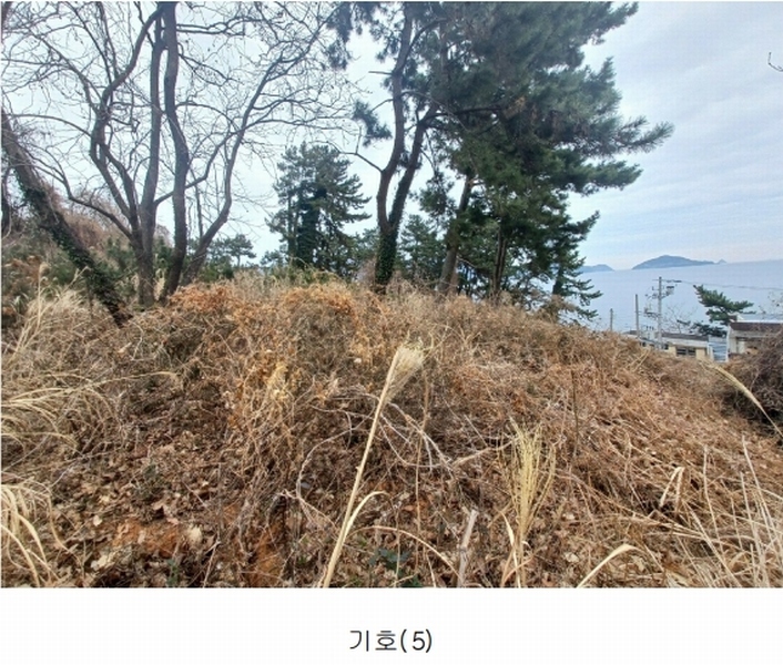 2025타경319 경상남도 남해군 이동면 용소리 1281-32 농지 경매 이미지
