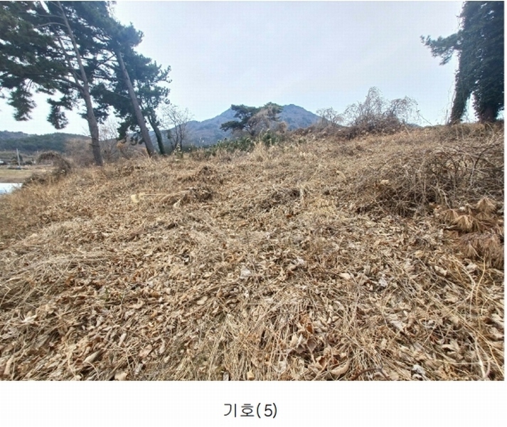 2025타경319 경상남도 남해군 이동면 용소리 1281-32 농지 경매 이미지