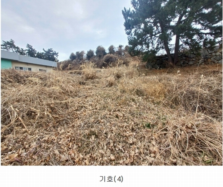 2025타경319 경상남도 남해군 이동면 용소리 1281-32 농지 경매 이미지
