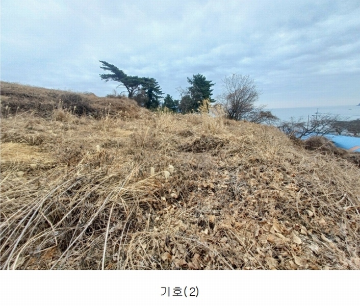 2025타경319 경상남도 남해군 이동면 용소리 1281-32 농지 경매 이미지