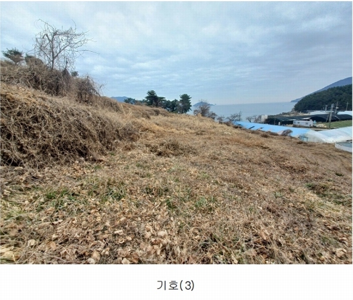 2025타경319 경상남도 남해군 이동면 용소리 1281-32 농지 경매 이미지