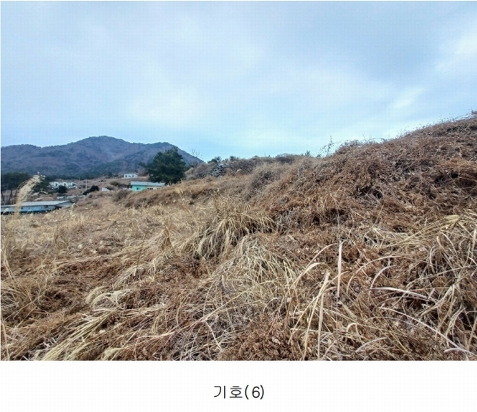 2025타경319 경상남도 남해군 이동면 용소리 1281-32 농지 경매 이미지