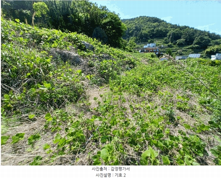 2025타경693 경상남도 남해군 남면 홍현리 433-2 임야 경매 이미지