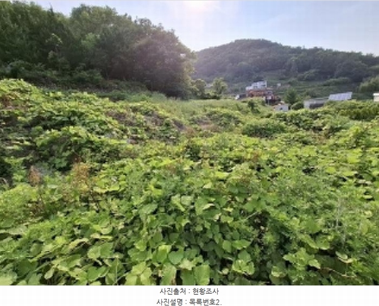2025타경693 경상남도 남해군 남면 홍현리 433-2 임야 경매 이미지