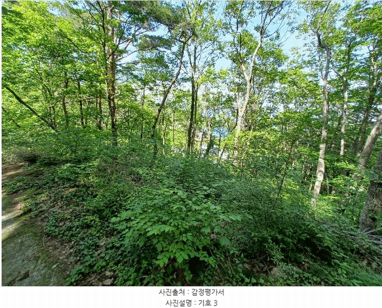2025타경693 경상남도 남해군 남면 홍현리 433-2 임야 경매 이미지