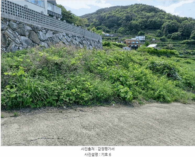 2025타경693 경상남도 남해군 남면 홍현리 433-2 임야 경매 이미지