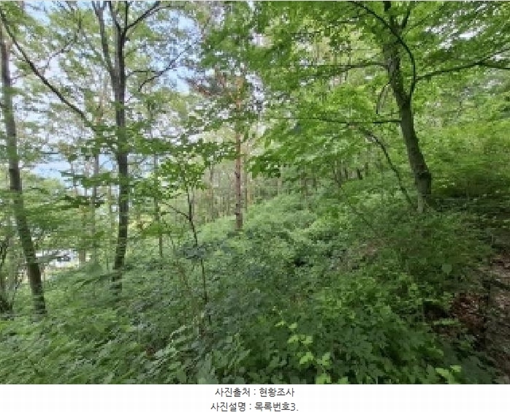 2025타경693 경상남도 남해군 남면 홍현리 433-2 임야 경매 이미지