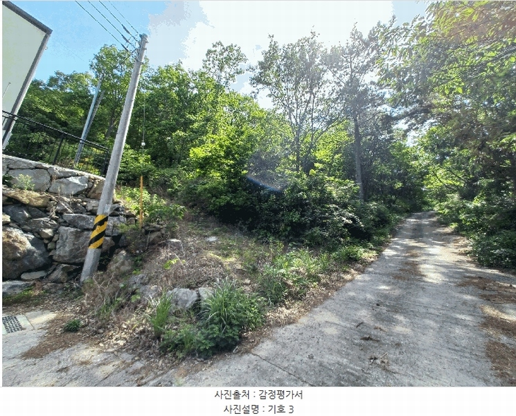 2025타경693 경상남도 남해군 남면 홍현리 433-2 임야 경매 이미지