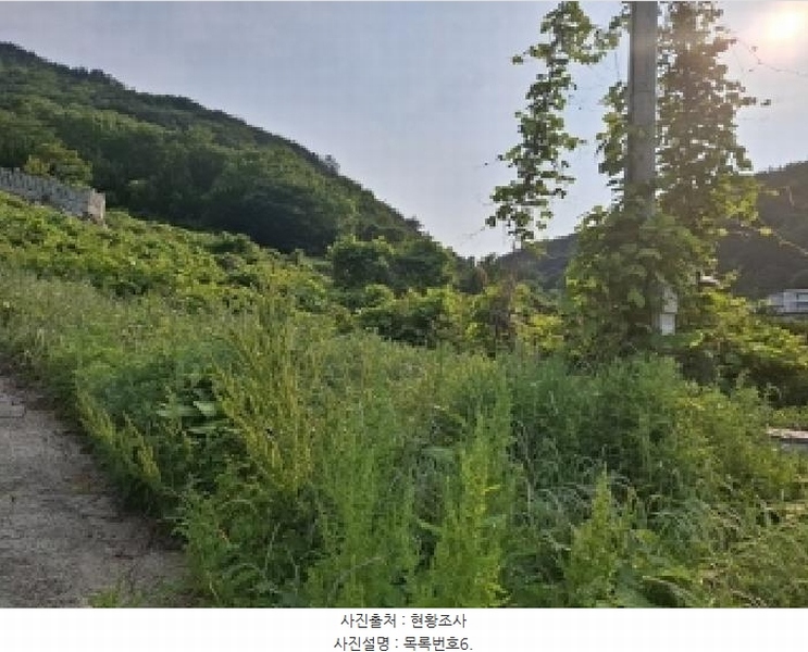 2025타경693 경상남도 남해군 남면 홍현리 433-2 임야 경매 이미지
