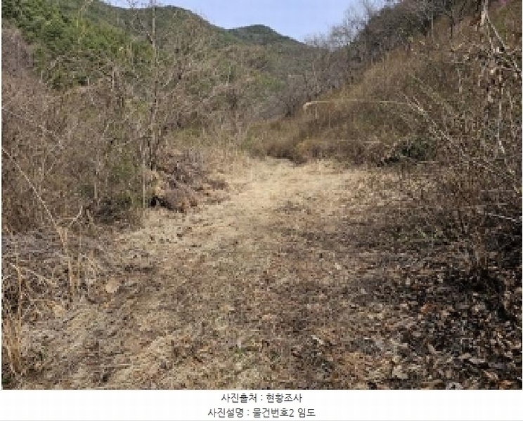 2025타경30667 경상남도 진주시 명석면 외율리 산258-2 임야 경매 이미지