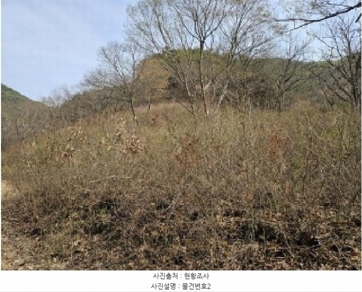 2025타경30667 경상남도 진주시 명석면 외율리 산258-2 임야 경매 이미지