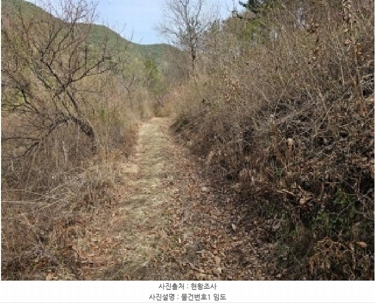 2025타경30667 경상남도 진주시 명석면 외율리 산258-2 임야 경매 이미지