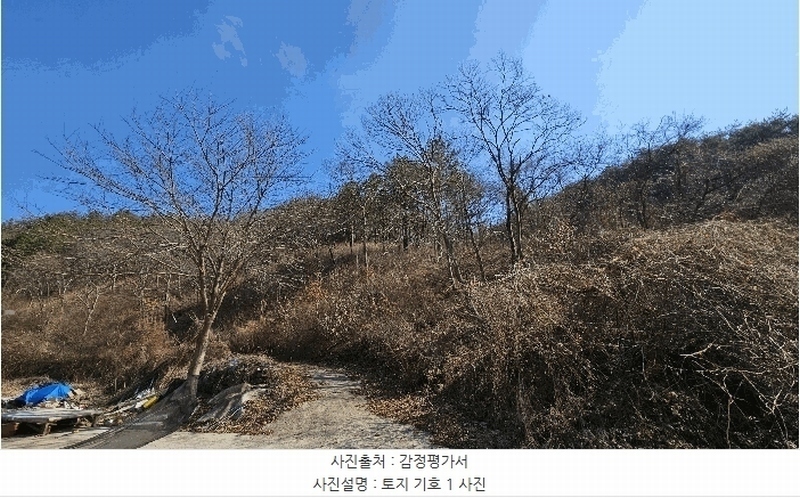 2025타경30667 경상남도 진주시 명석면 외율리 산258-2 임야 경매 이미지