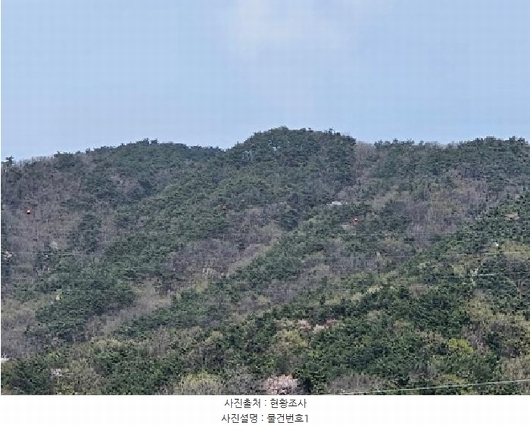 2025타경30672 경상남도 산청군 산청읍 척지리 산19-1 임야 경매 이미지