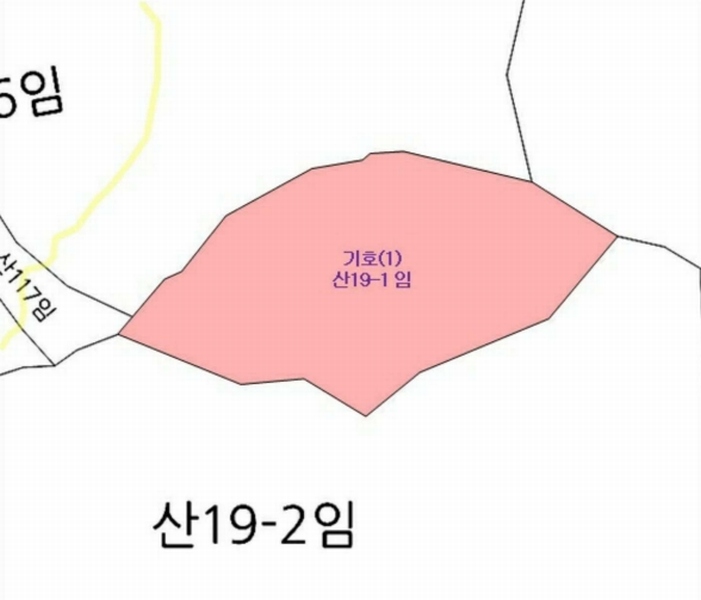 2025타경30672 경상남도 산청군 산청읍 척지리 산19-1 임야 경매 이미지