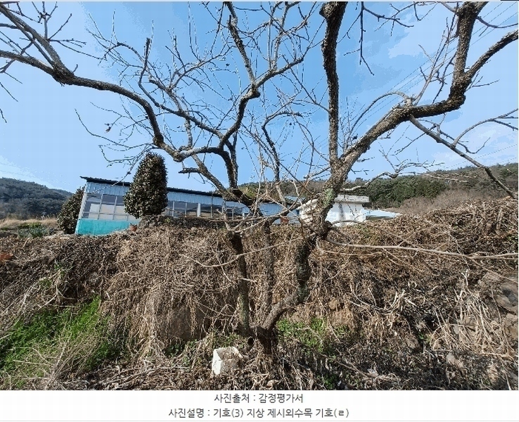 2025타경30687 경상남도 남해군 삼동면 봉화리 205 주택 경매 이미지