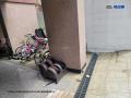 2025타경10416 서울특별시 노원구 중계로14사길 13, 친우맨션 4층 401호 다세대(빌라)[공급23평형] 경매 이미지