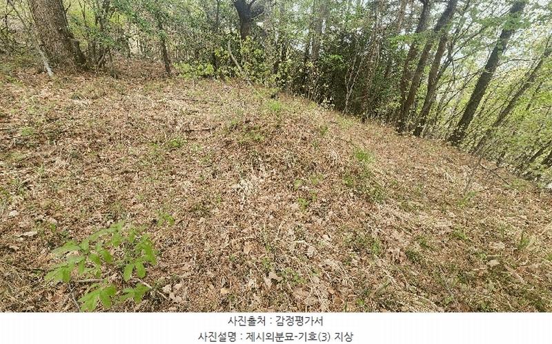 2025타경30742 경상남도 남해군 남면 죽전리 1471-1 농지 경매 이미지
