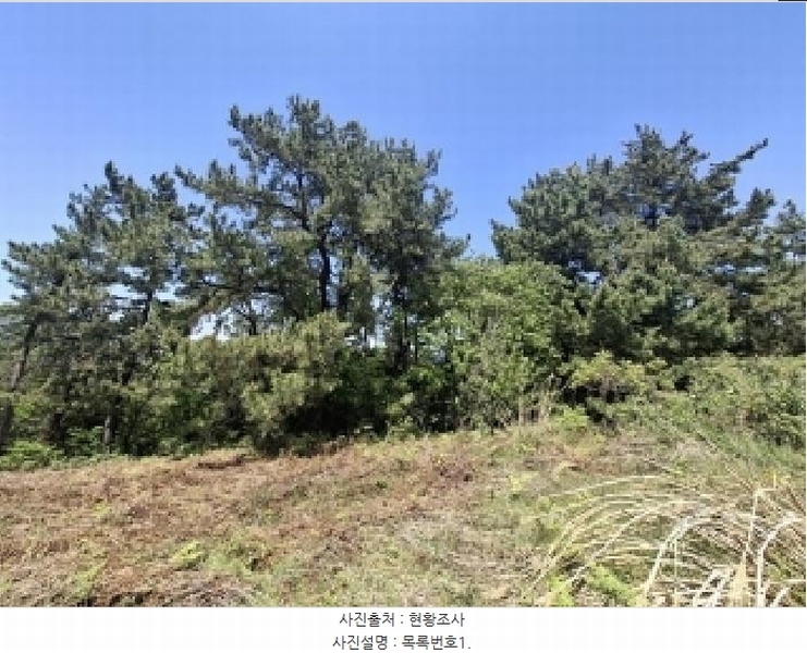 2025타경30812 경상남도 남해군 창선면 진동리 산276-2 임야 경매 이미지