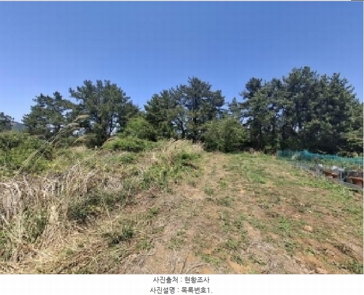 2025타경30812 경상남도 남해군 창선면 진동리 산276-2 임야 경매 이미지