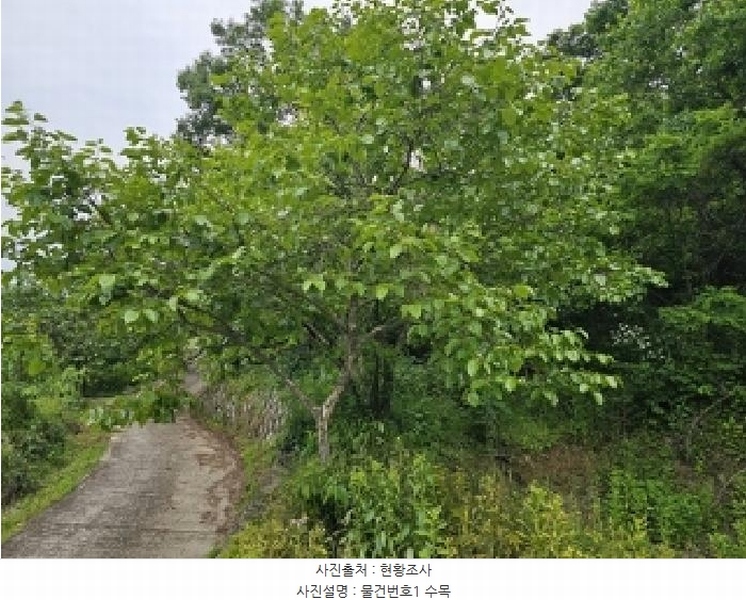 2025타경30817 경상남도 산청군 오부면 오전리 1026 농지 경매 이미지