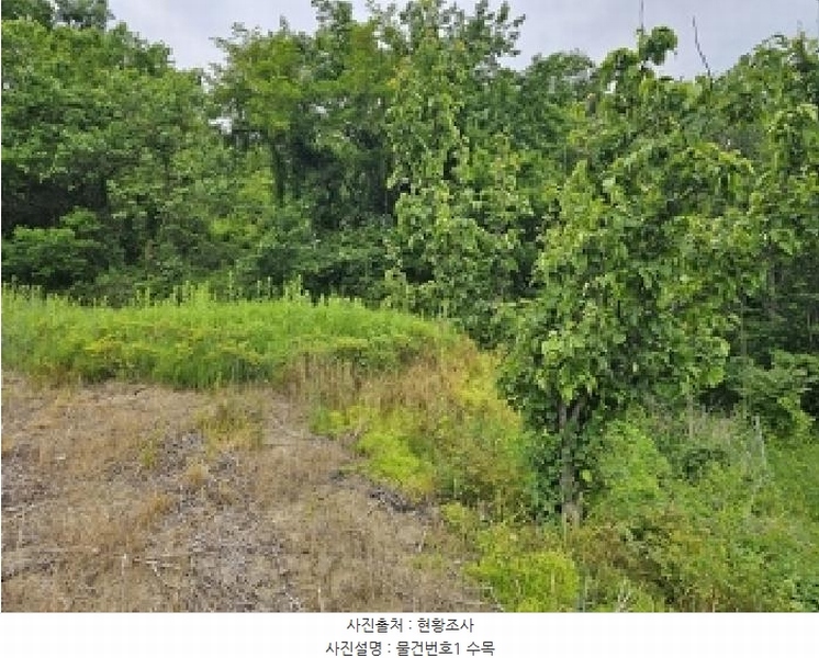 2025타경30817 경상남도 산청군 오부면 오전리 1026 농지 경매 이미지
