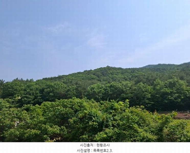 2025타경30830 경상남도 남해군 삼동면 물건리 산235 임야 경매 이미지