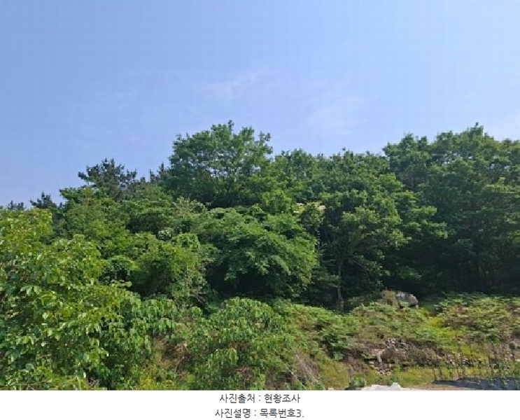 2025타경30830 경상남도 남해군 삼동면 물건리 산235 임야 경매 이미지