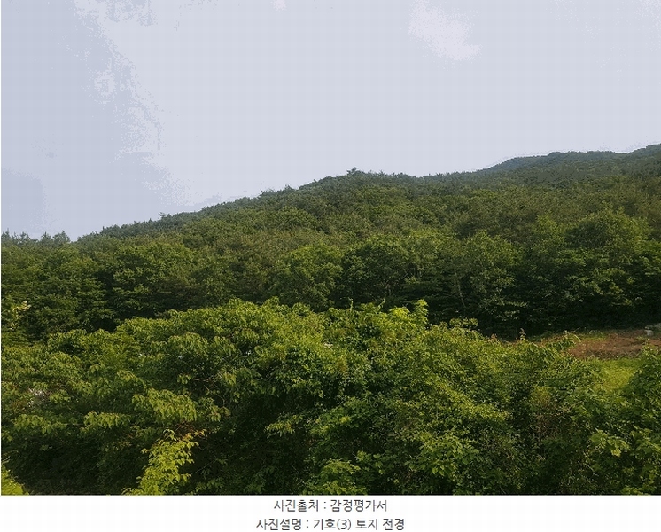2025타경30830 경상남도 남해군 삼동면 물건리 산235 임야 경매 이미지