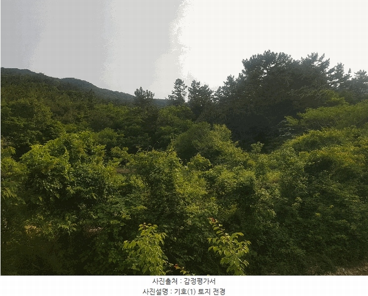 2025타경30830 경상남도 남해군 삼동면 물건리 산235 임야 경매 이미지