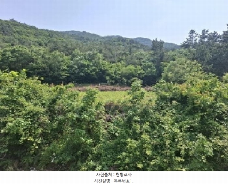 2025타경30830 경상남도 남해군 삼동면 물건리 산235 임야 경매 이미지