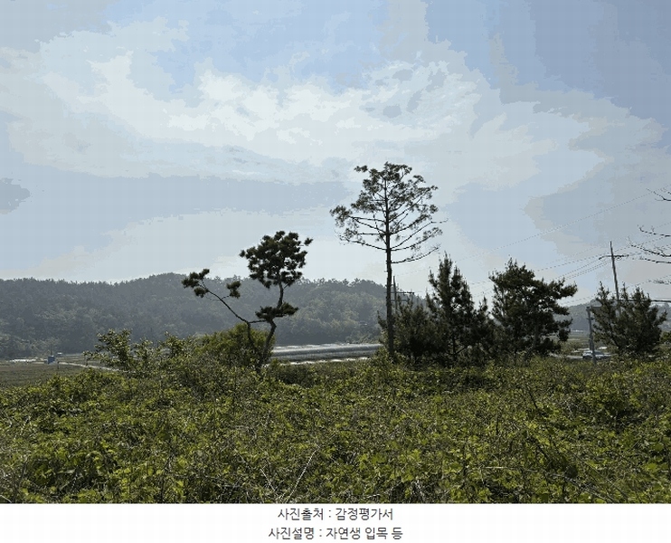 2025타경30835 경상남도 사천시 서포면 자혜리 478-36 대지 경매 이미지