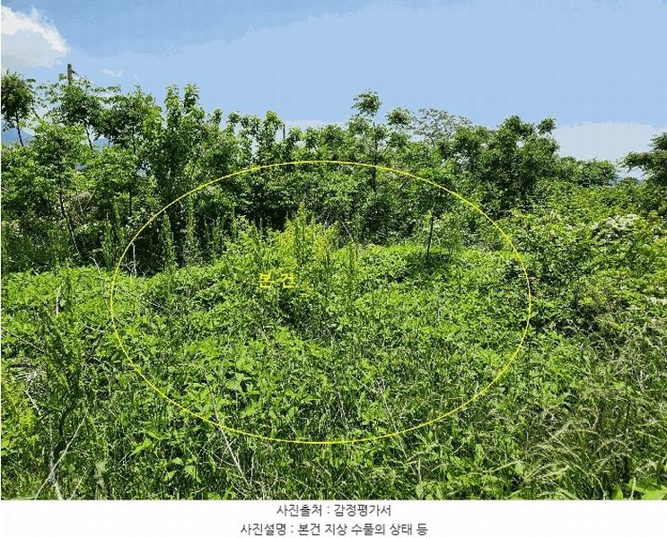 2025타경30850 경상남도 사천시 용현면 주문리 532 농지 경매 이미지