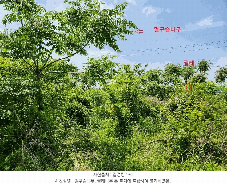 2025타경30850 경상남도 사천시 용현면 주문리 532 농지 경매 이미지