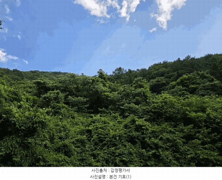 2025타경30865 경상남도 하동군 화개면 부춘리 산87-1 임야 경매 이미지