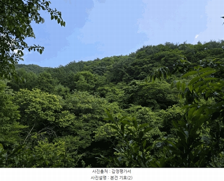 2025타경30865 경상남도 하동군 화개면 부춘리 산87-1 임야 경매 이미지
