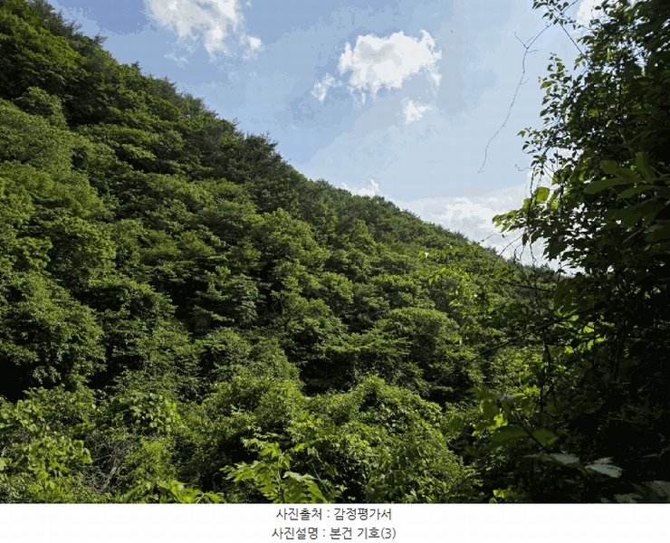 2025타경30865 경상남도 하동군 화개면 부춘리 산87-1 임야 경매 이미지