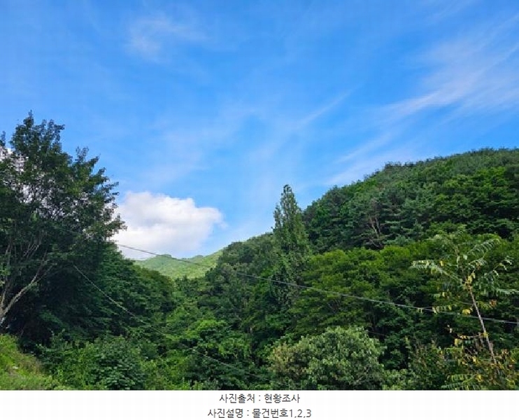 2025타경30865 경상남도 하동군 화개면 부춘리 산87-1 임야 경매 이미지