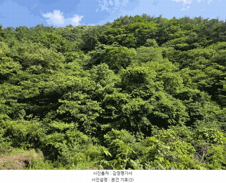 2025타경30865 경상남도 하동군 화개면 부춘리 산87-1 임야 경매 이미지