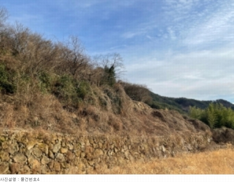 2023타경6931 경상남도 하동군 화개면 부춘리 424-2 농지 경매 이미지
