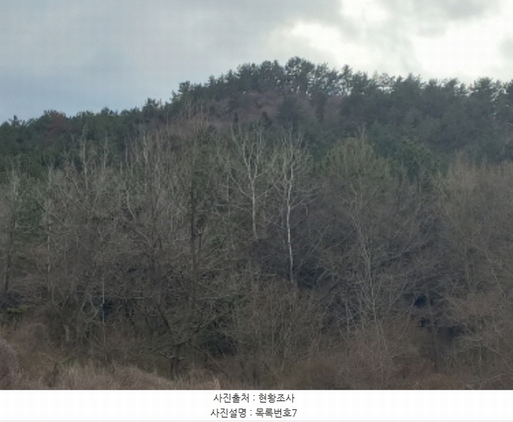 2024타경1537 경상남도 남해군 창선면 대벽리 115 농지 경매 이미지