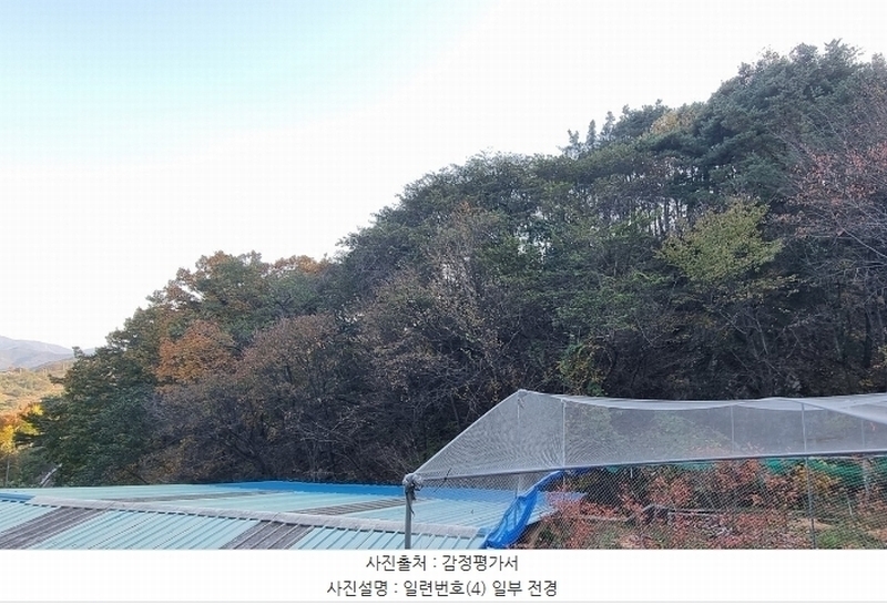 2024타경5935 경상남도 산청군 단성면 방목리 950-1 임야 경매 이미지