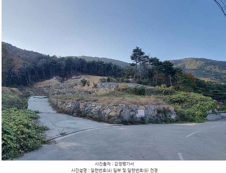 2024타경5935 경상남도 산청군 단성면 방목리 950-1 임야 경매 이미지