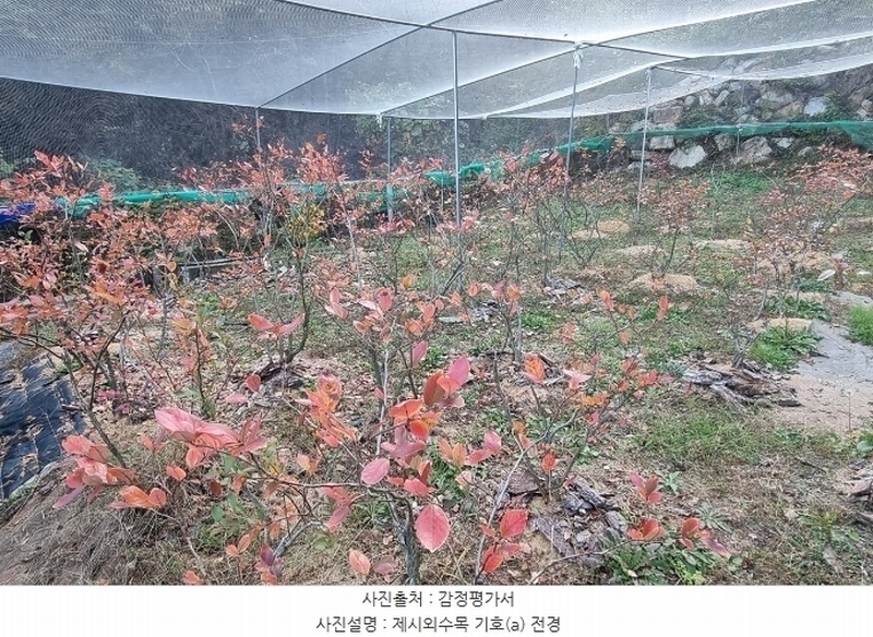 2024타경5935 경상남도 산청군 단성면 방목리 950-1 임야 경매 이미지