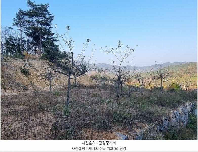 2024타경5935 경상남도 산청군 단성면 방목리 950-1 임야 경매 이미지