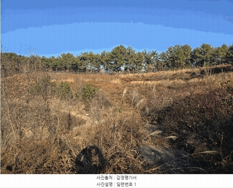 2024타경6686 경상남도 진주시 명석면 용산리 산141-9 과수원 경매 이미지