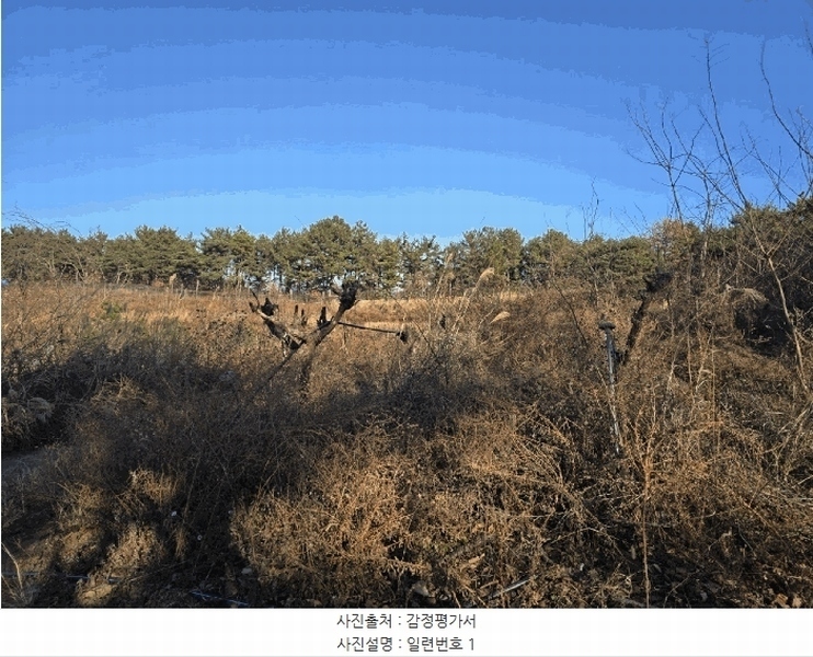 2024타경6686 경상남도 진주시 명석면 용산리 산141-9 과수원 경매 이미지